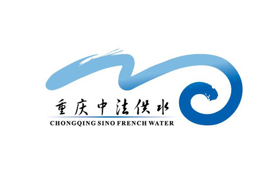 重庆中法水务项目不锈钢伸缩接头案例解析